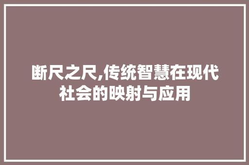 断尺之尺,传统智慧在现代社会的映射与应用