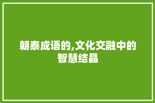 朝泰成语的,文化交融中的智慧结晶
