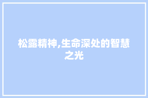 松露精神,生命深处的智慧之光