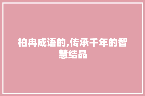 柏冉成语的,传承千年的智慧结晶