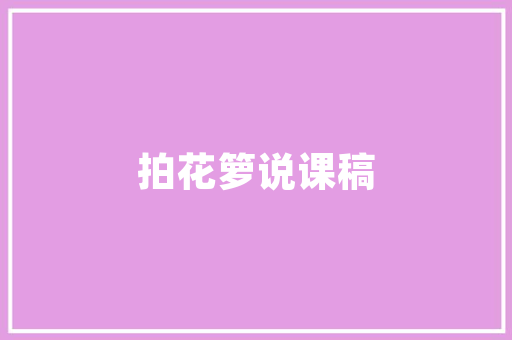 网络承包计划,新时代产业发展的新引擎