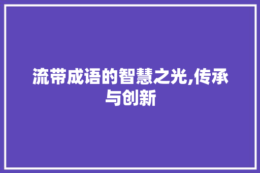 流带成语的智慧之光,传承与创新 演讲稿