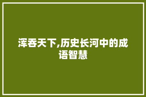 浑吞天下,历史长河中的成语智慧