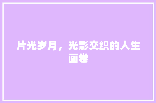 片光岁月，光影交织的人生画卷