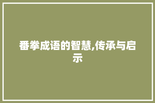 番拳成语的智慧,传承与启示