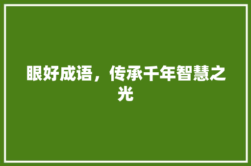 眼好成语，传承千年智慧之光