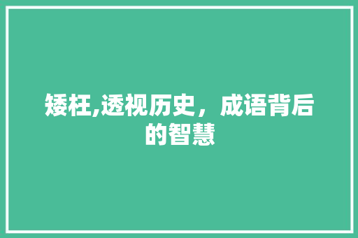 矮枉,透视历史，成语背后的智慧
