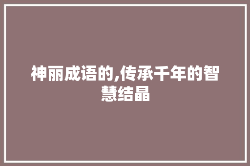 神丽成语的,传承千年的智慧结晶