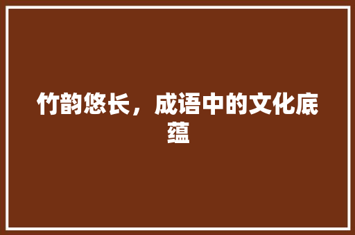 竹韵悠长，成语中的文化底蕴 国学经典