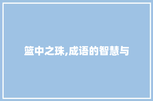 篮中之珠,成语的智慧与