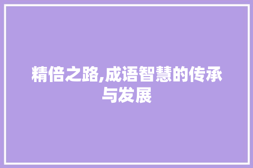 精倍之路,成语智慧的传承与发展