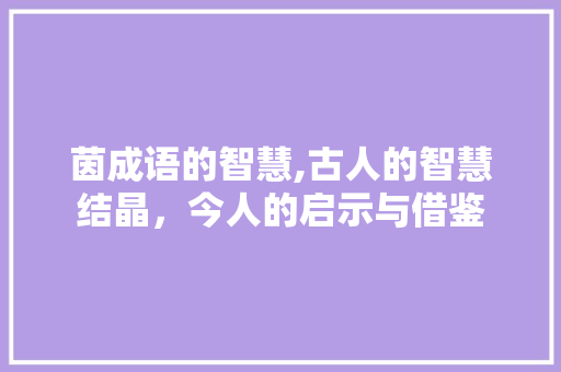 茵成语的智慧,古人的智慧结晶，今人的启示与借鉴