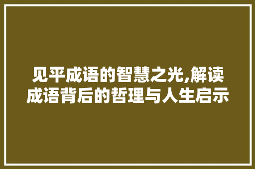 见平成语的智慧之光,解读成语背后的哲理与人生启示
