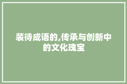 装待成语的,传承与创新中的文化瑰宝 工作总结