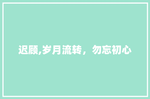 迟顾,岁月流转，勿忘初心 成语大全