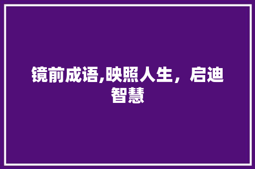镜前成语,映照人生，启迪智慧