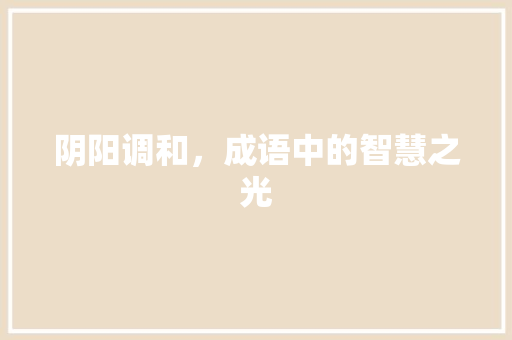 阴阳调和，成语中的智慧之光