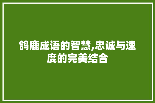 鸽鹿成语的智慧,忠诚与速度的完美结合 诗词鉴赏