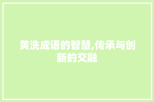 黄洗成语的智慧,传承与创新的交融