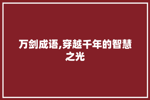 万剑成语,穿越千年的智慧之光