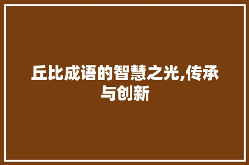 丘比成语的智慧之光,传承与创新 工作计划