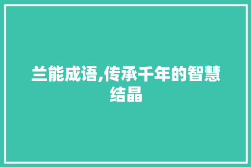 兰能成语,传承千年的智慧结晶
