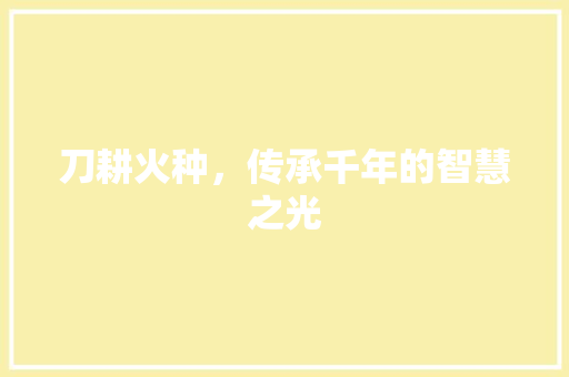 刀耕火种，传承千年的智慧之光