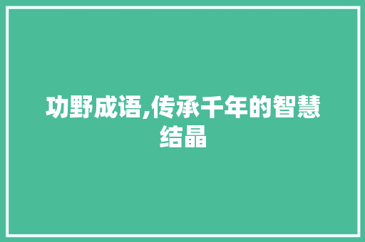 功野成语,传承千年的智慧结晶