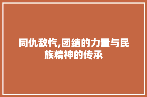 同仇敌忾,团结的力量与民族精神的传承