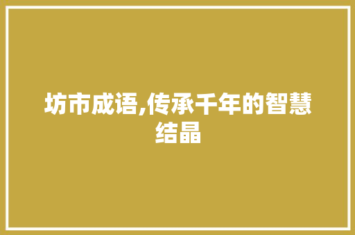 坊市成语,传承千年的智慧结晶