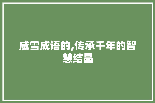 威雪成语的,传承千年的智慧结晶