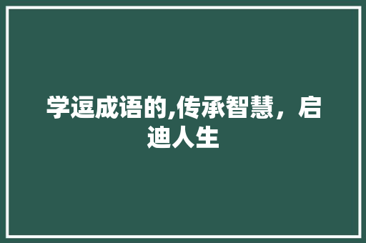 学逗成语的,传承智慧，启迪人生 工作计划