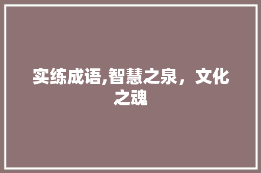 实练成语,智慧之泉，文化之魂