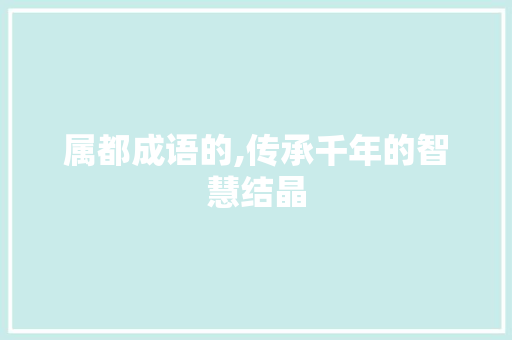 属都成语的,传承千年的智慧结晶