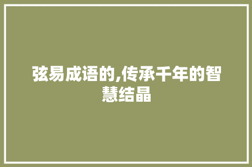 弦易成语的,传承千年的智慧结晶
