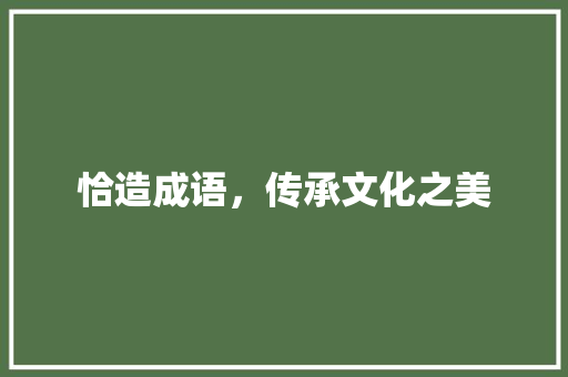恰造成语，传承文化之美
