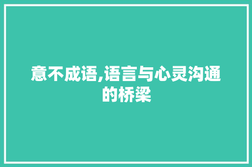 意不成语,语言与心灵沟通的桥梁