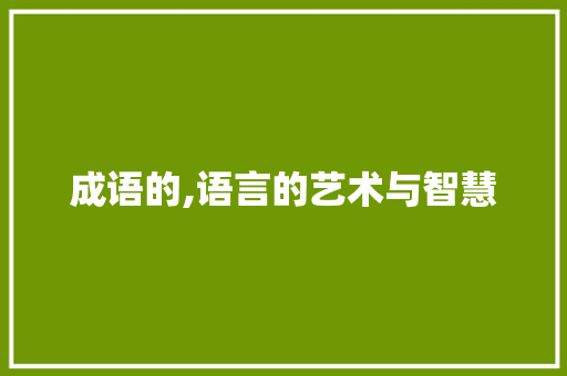 成语的,语言的艺术与智慧