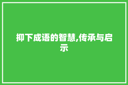 抑下成语的智慧,传承与启示