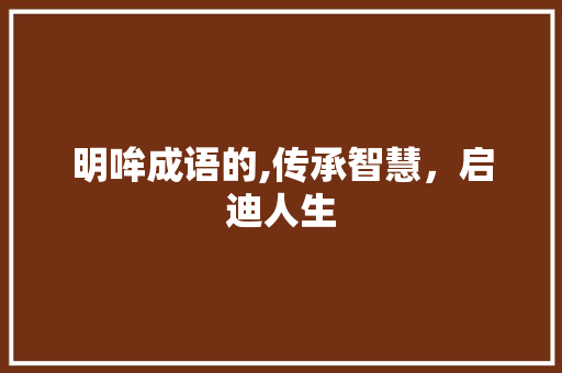 明哞成语的,传承智慧，启迪人生
