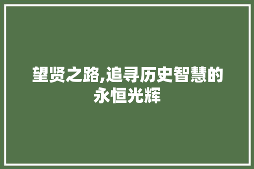 望贤之路,追寻历史智慧的永恒光辉