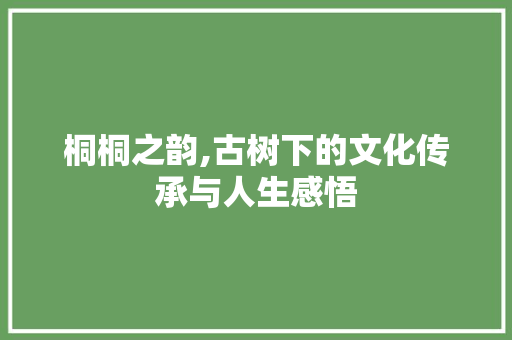 桐桐之韵,古树下的文化传承与人生感悟