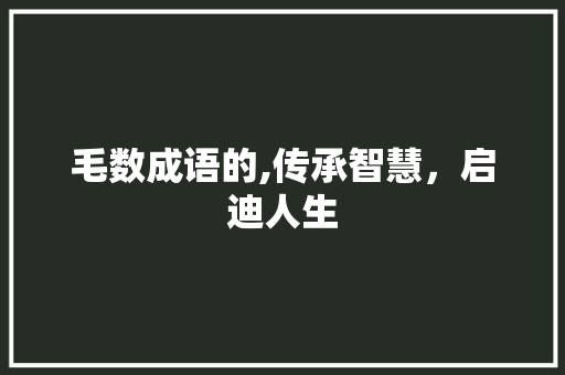 毛数成语的,传承智慧，启迪人生