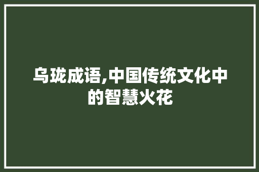 乌珑成语,中国传统文化中的智慧火花