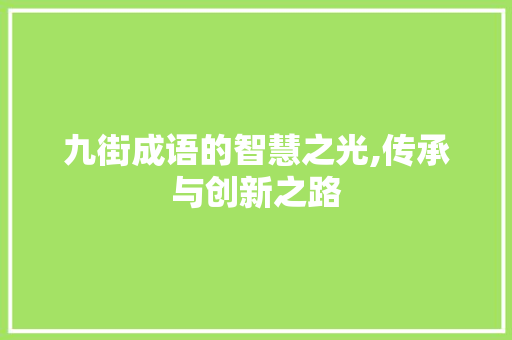 九街成语的智慧之光,传承与创新之路