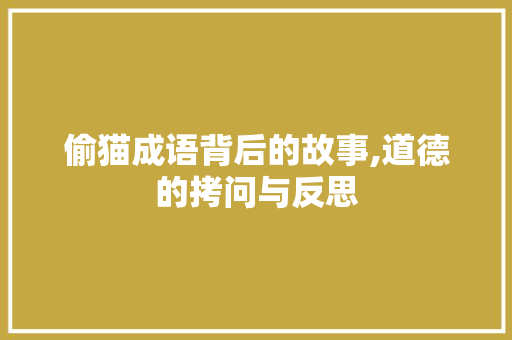 偷猫成语背后的故事,道德的拷问与反思