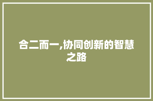 合二而一,协同创新的智慧之路
