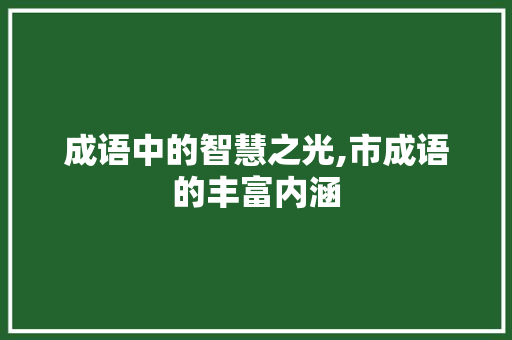 成语中的智慧之光,市成语的丰富内涵