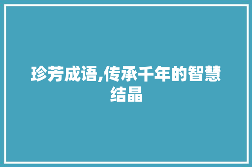 珍芳成语,传承千年的智慧结晶
