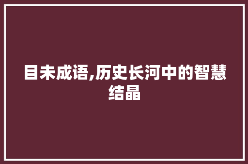 目未成语,历史长河中的智慧结晶
